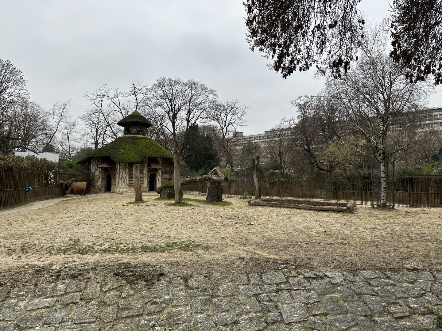 Dec. 2024 - Przewalski’s Wild Horse Paddock