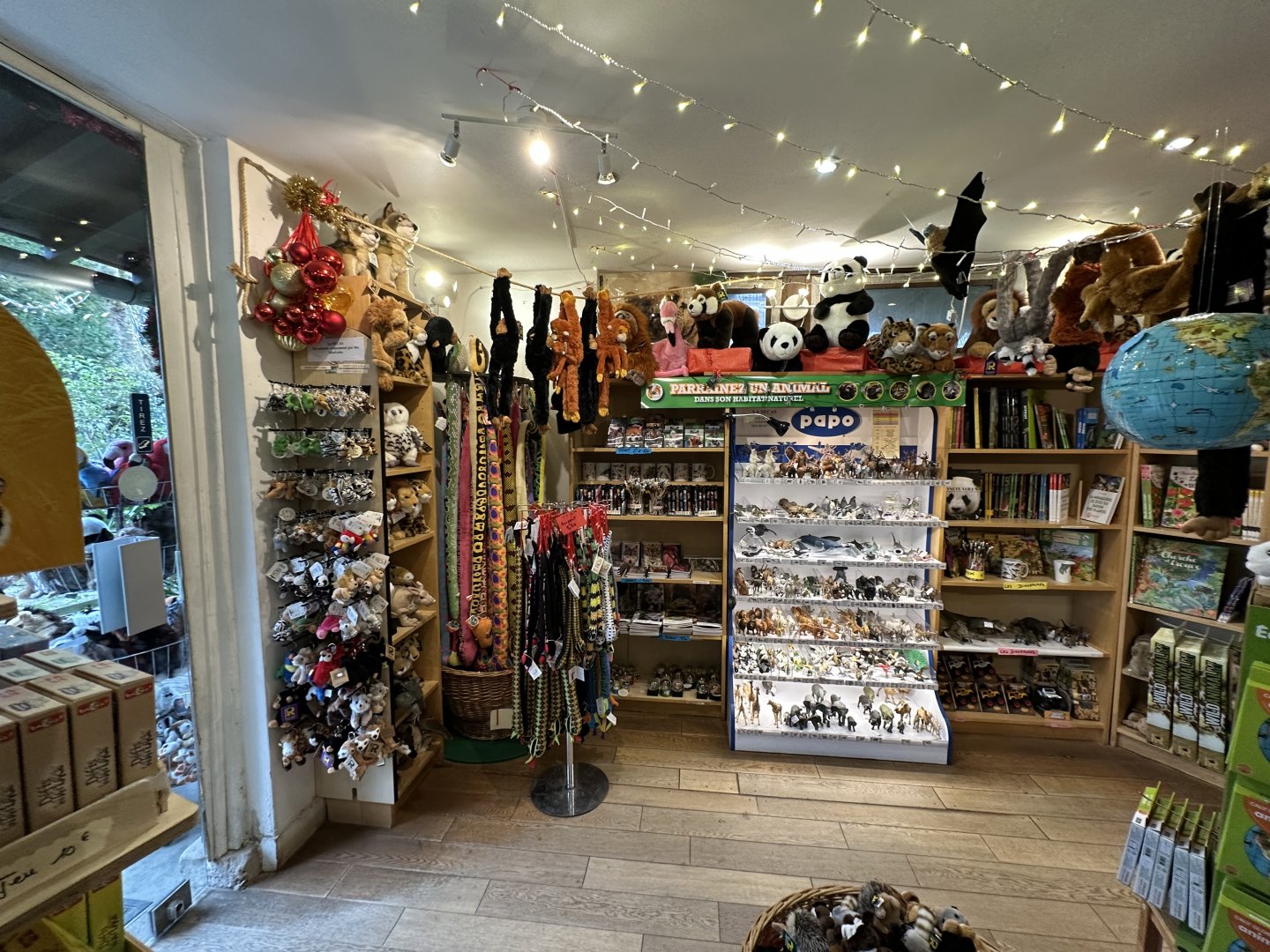 Dec. 2024 - Souvenir Shop (interior)