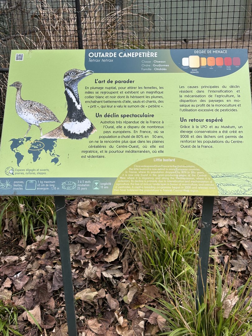 Dec. 2024 - Typical Zoo Signage (Little Bustard)