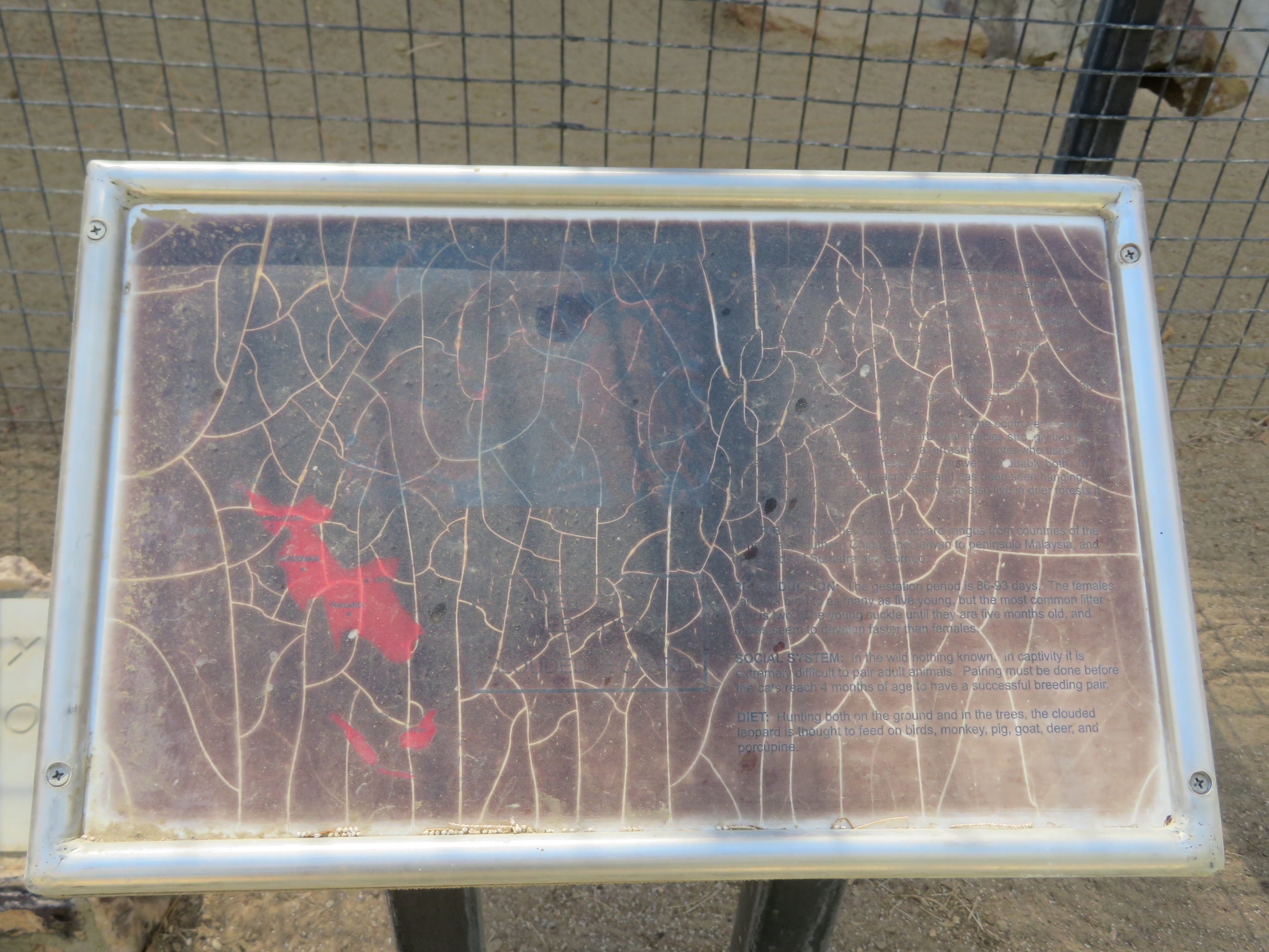 Decayed Signage (2022)