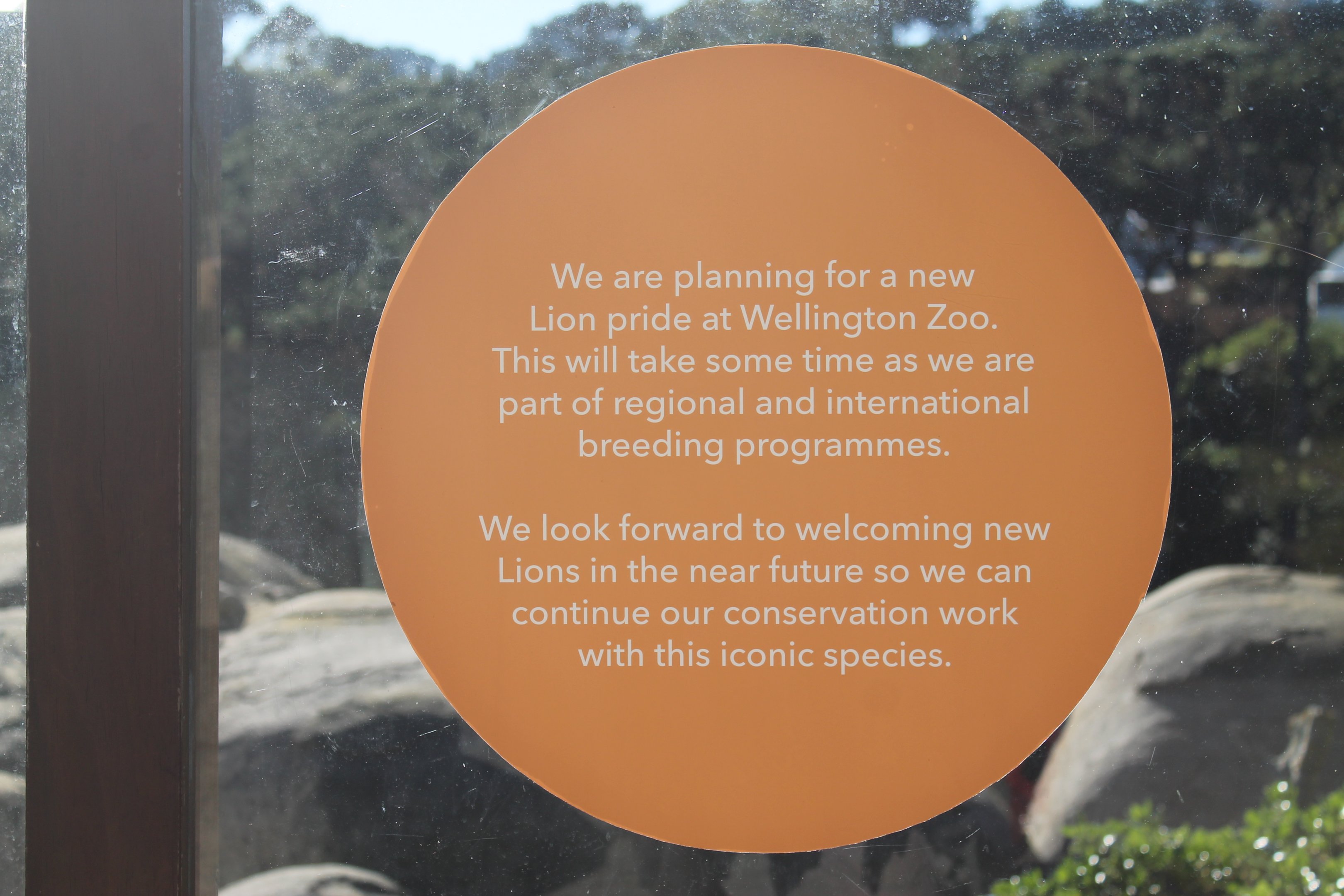 Deceased Lioness Sign