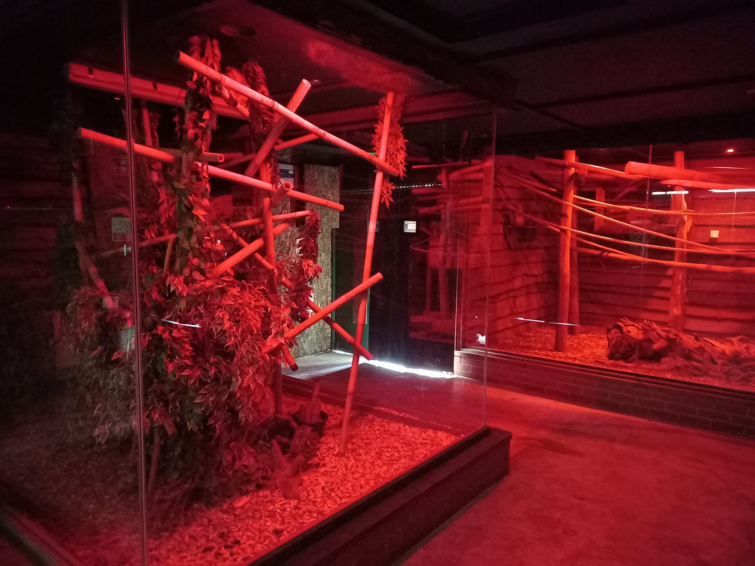 December 2023 - Main Nocturnal House