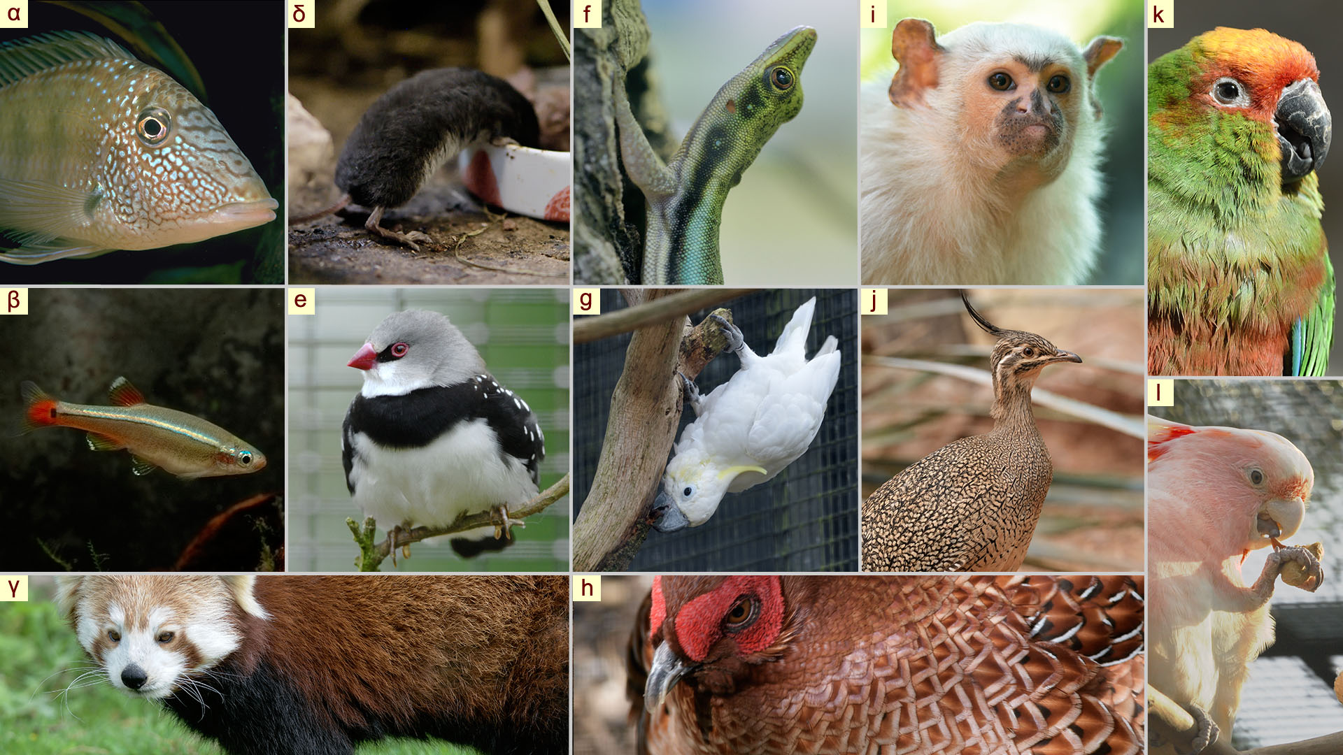 December Photo Quiz Answers