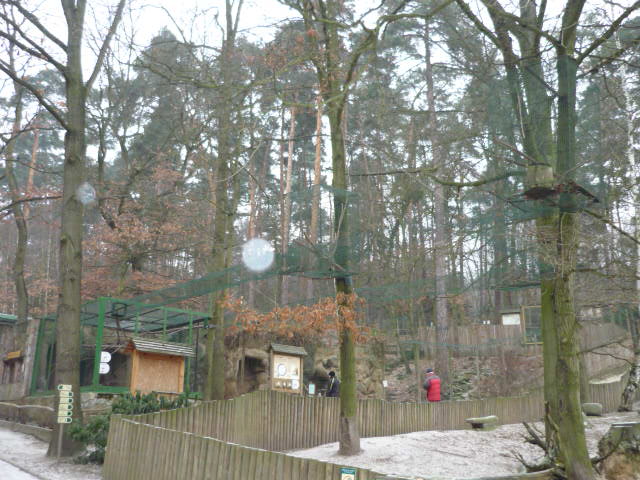 Decin Zoo 2009