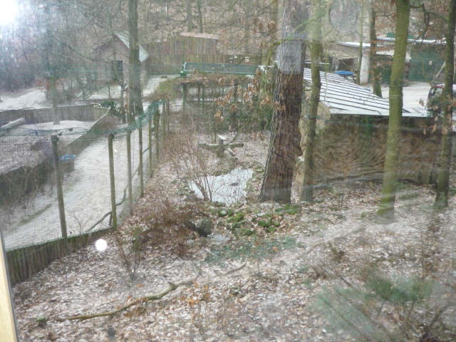 Decin Zoo 2009