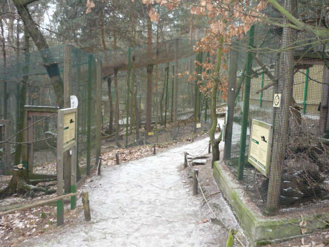 Decin Zoo 2009