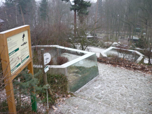 Decin Zoo 2009