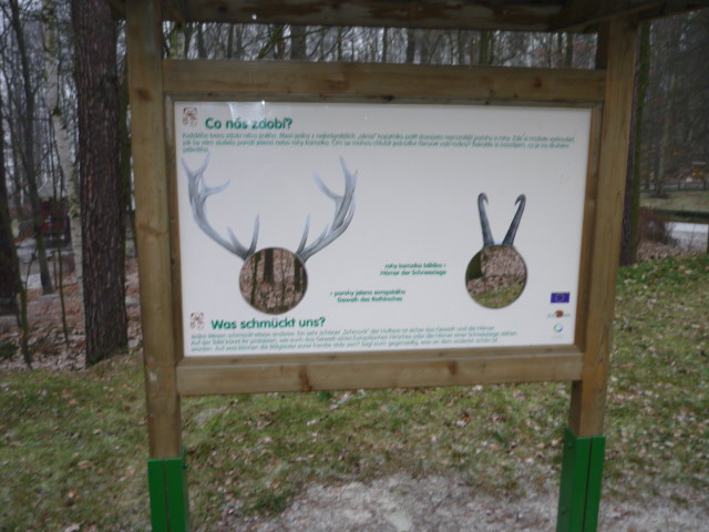Decin Zoo 2009