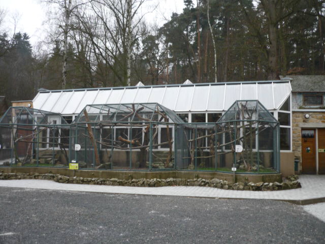 Decin Zoo 2009