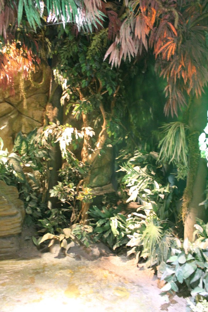 Deco in the Jungle-area