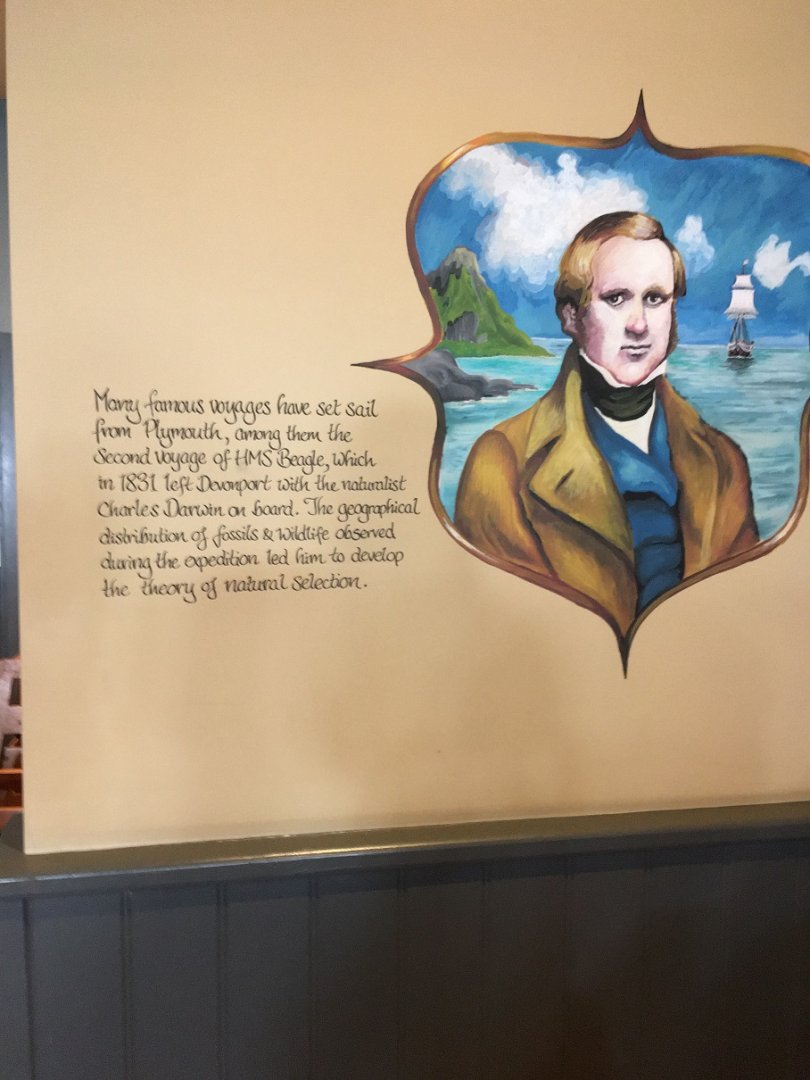 Decor about Darwin, Plymouth, October 2021