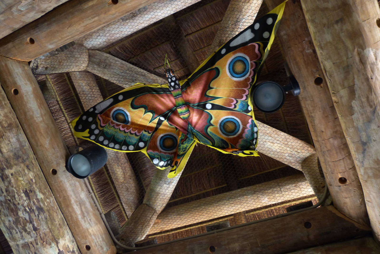 Decor - Trail of the Tiger (7-17-12)