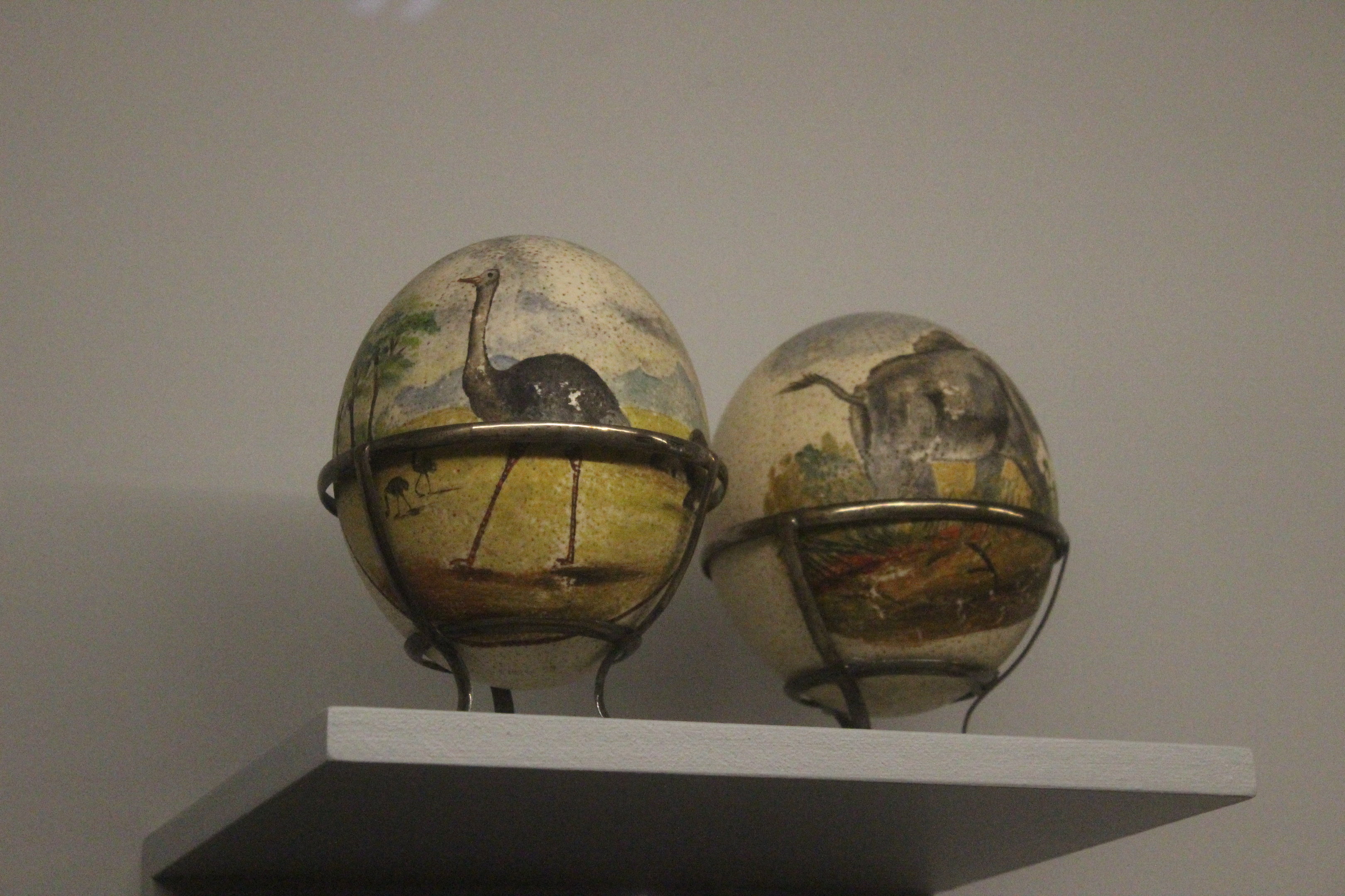 Decorated eggs of Common Ostrich, Whanganui Regional Museum