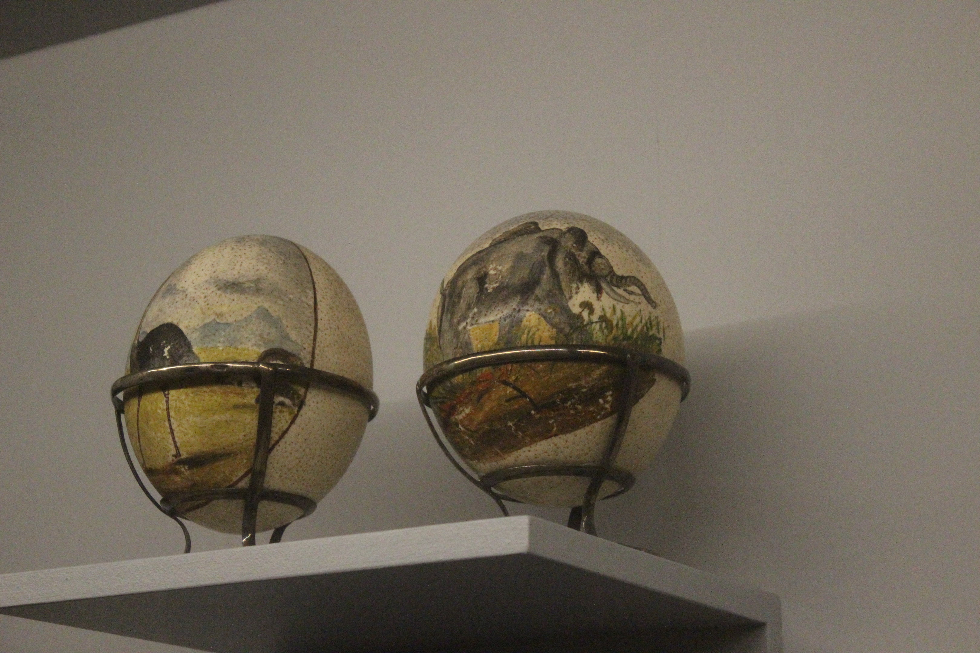 Decorated eggs of Common Ostrich, Whanganui Regional Museum