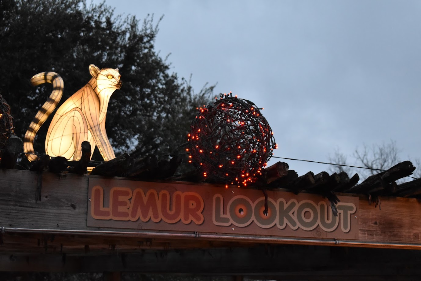 Decorated Lemur Lookout
