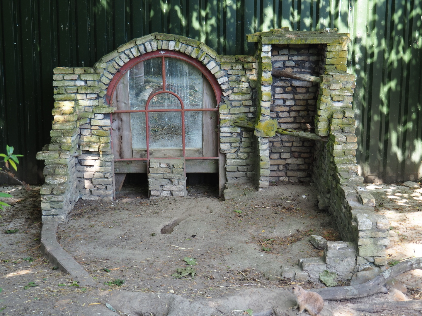 Decoration and hide-out in the black-tailed prairie dog exhibit, 2019-06-01