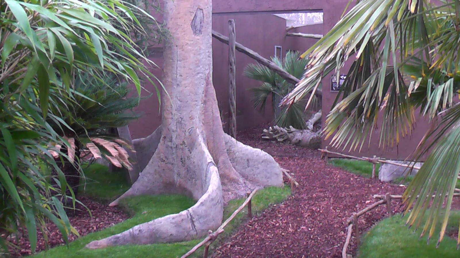 Decoration by Fossa Enclosure - RSCC August 2010