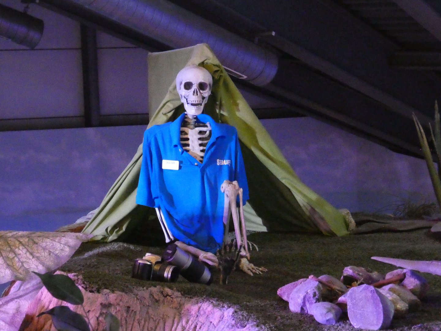 Decoration in aquarium