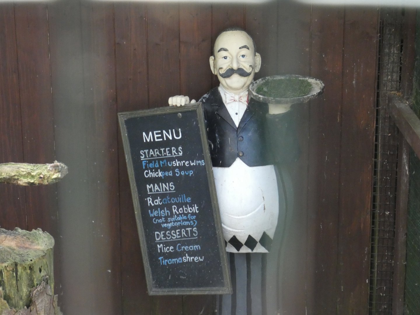 Decoration in aviary