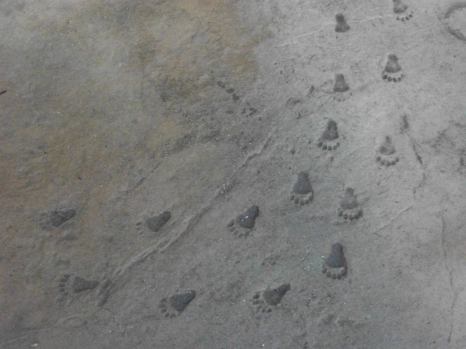 Decoration in footpath 4th January 2013