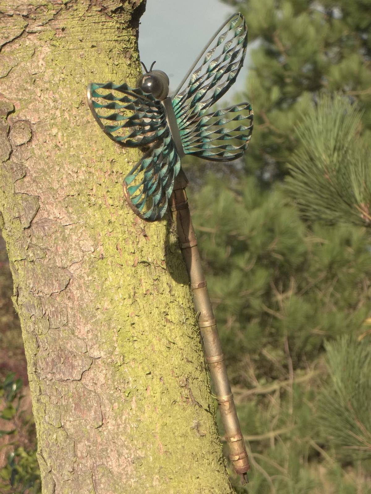 Decoration in Secret Garden, 23rd October 2014