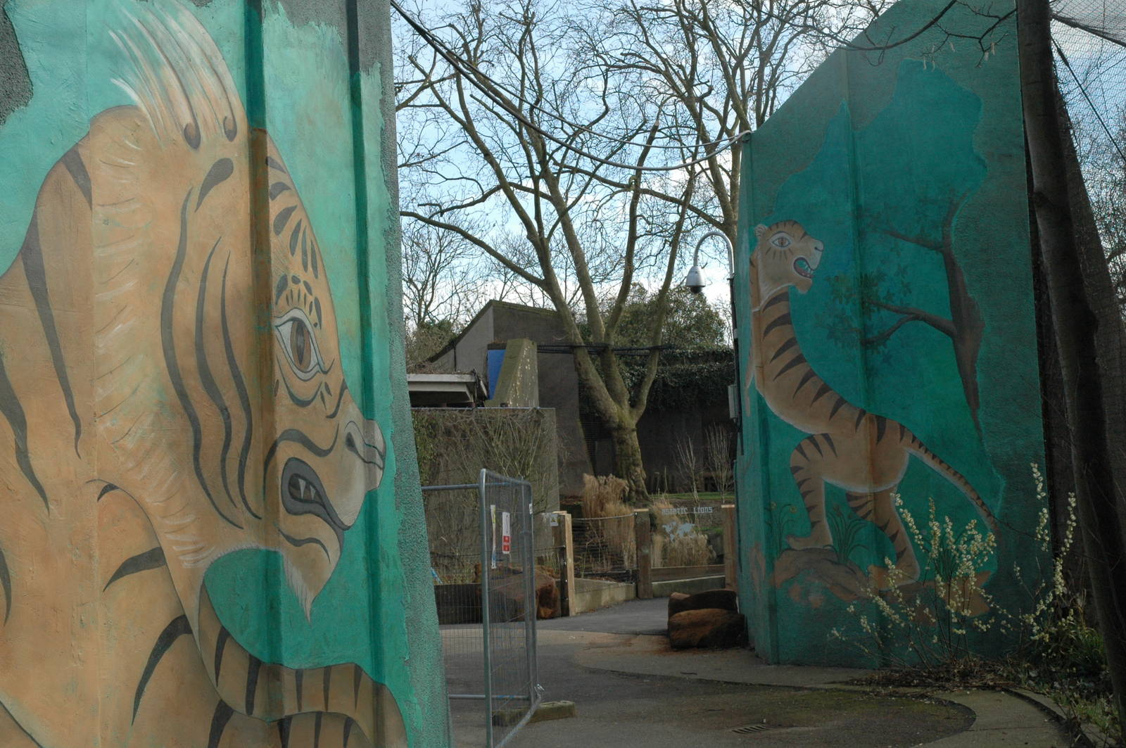 Decorations at the Cat Terrace