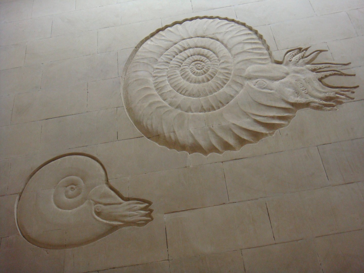 Decorations on the wall