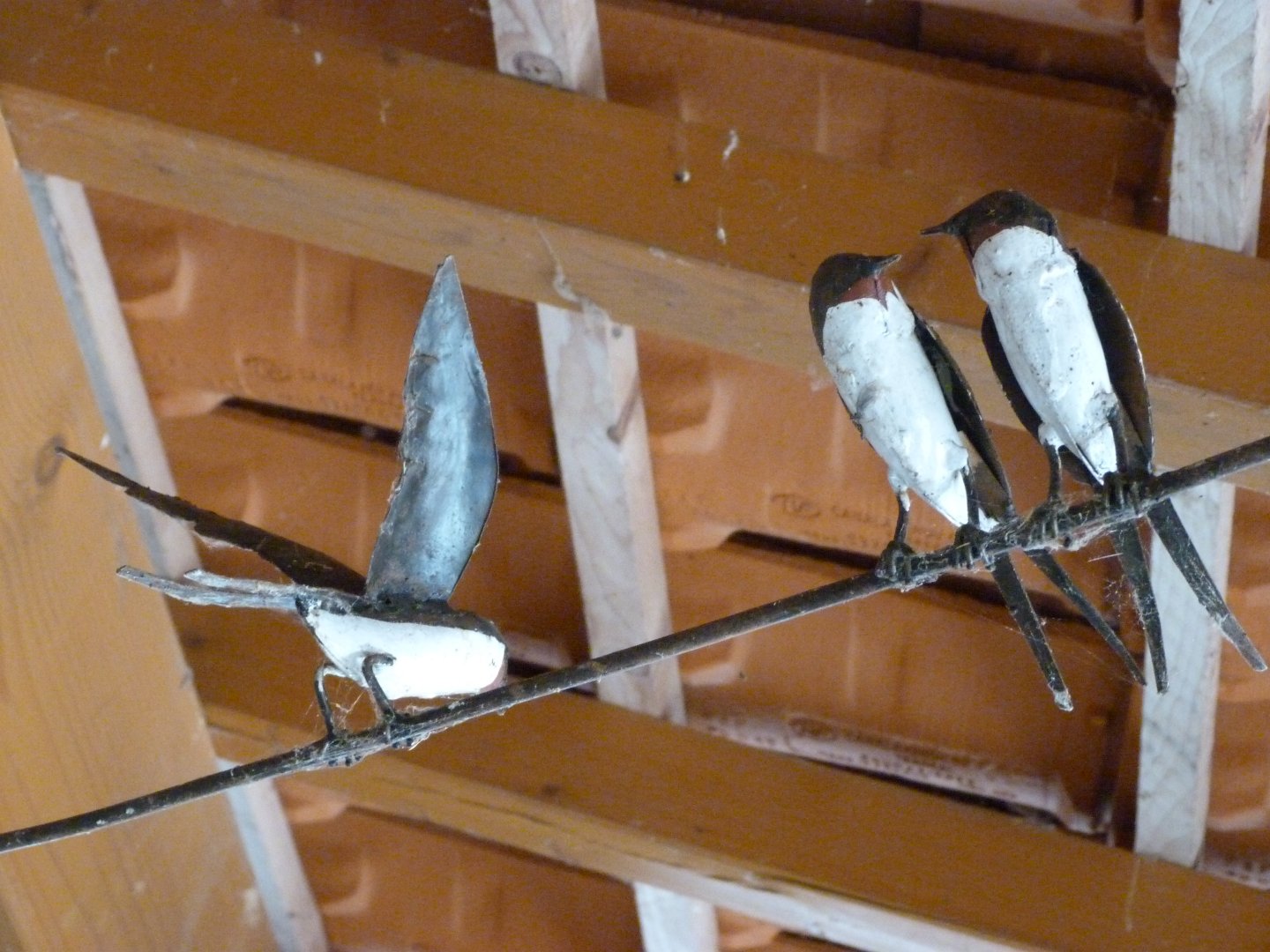 Decorative barn swallows -Zoodyssée (2025)