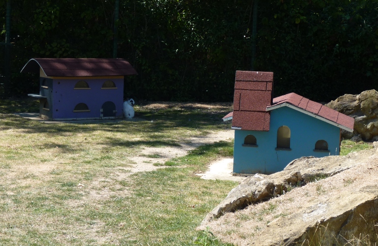 Decorative domestic rabbit houses