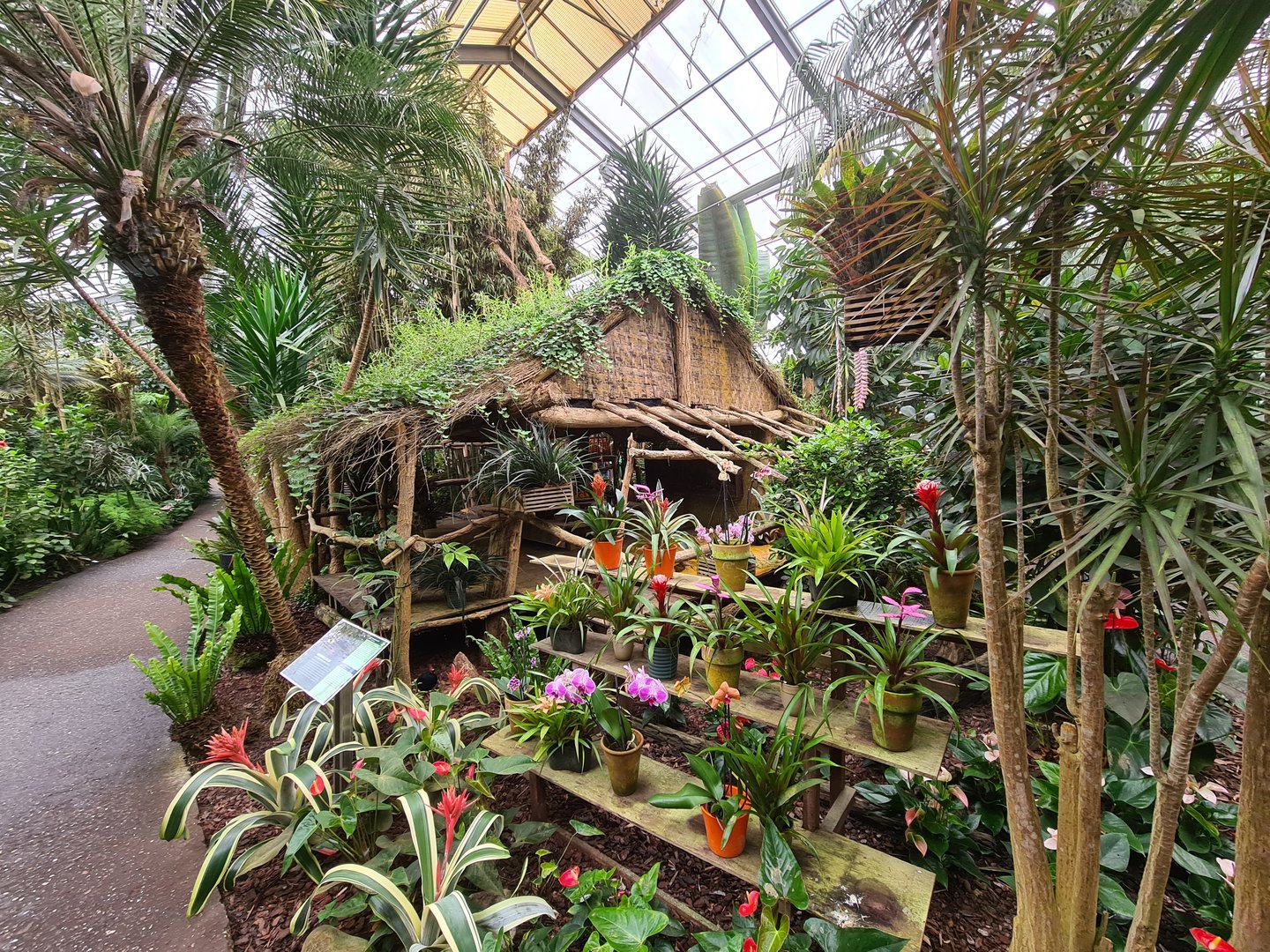 Decorative house and flowers in "Amazon" hall