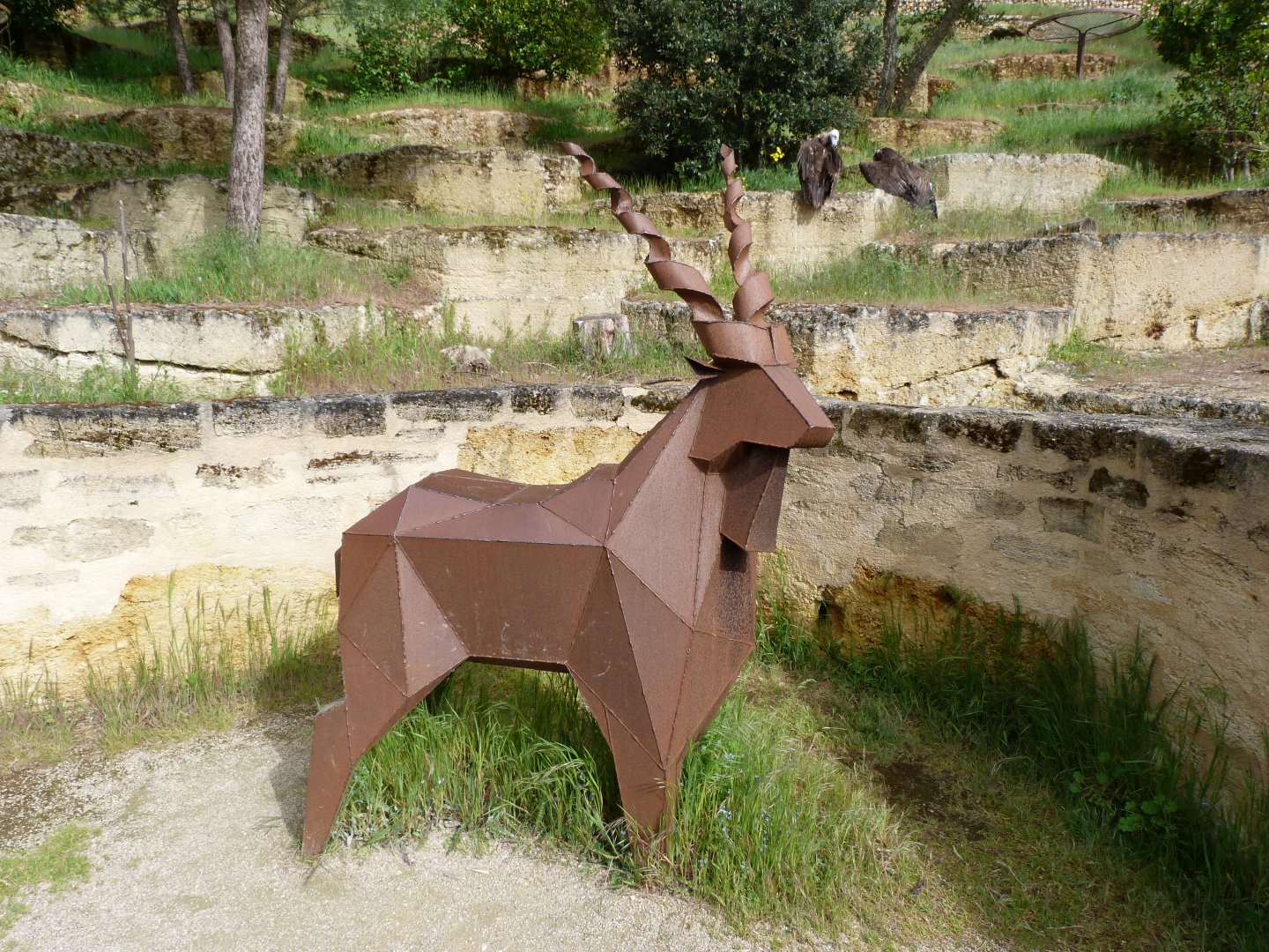 Decorative markhor -Bioparc de Doué la Fontaine (2025)