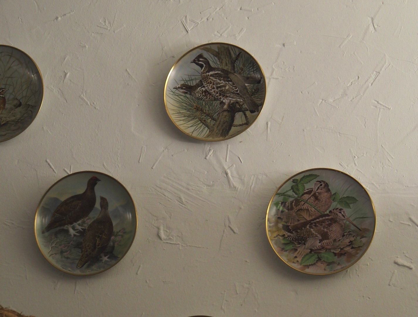 Decorative plates with bird paintings in the Rosencafé, 2024-05-22