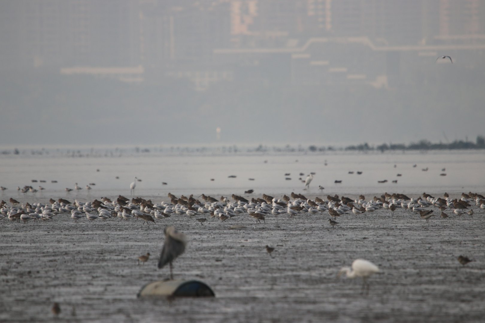 Deep Bay Flats in front of Shenzhen