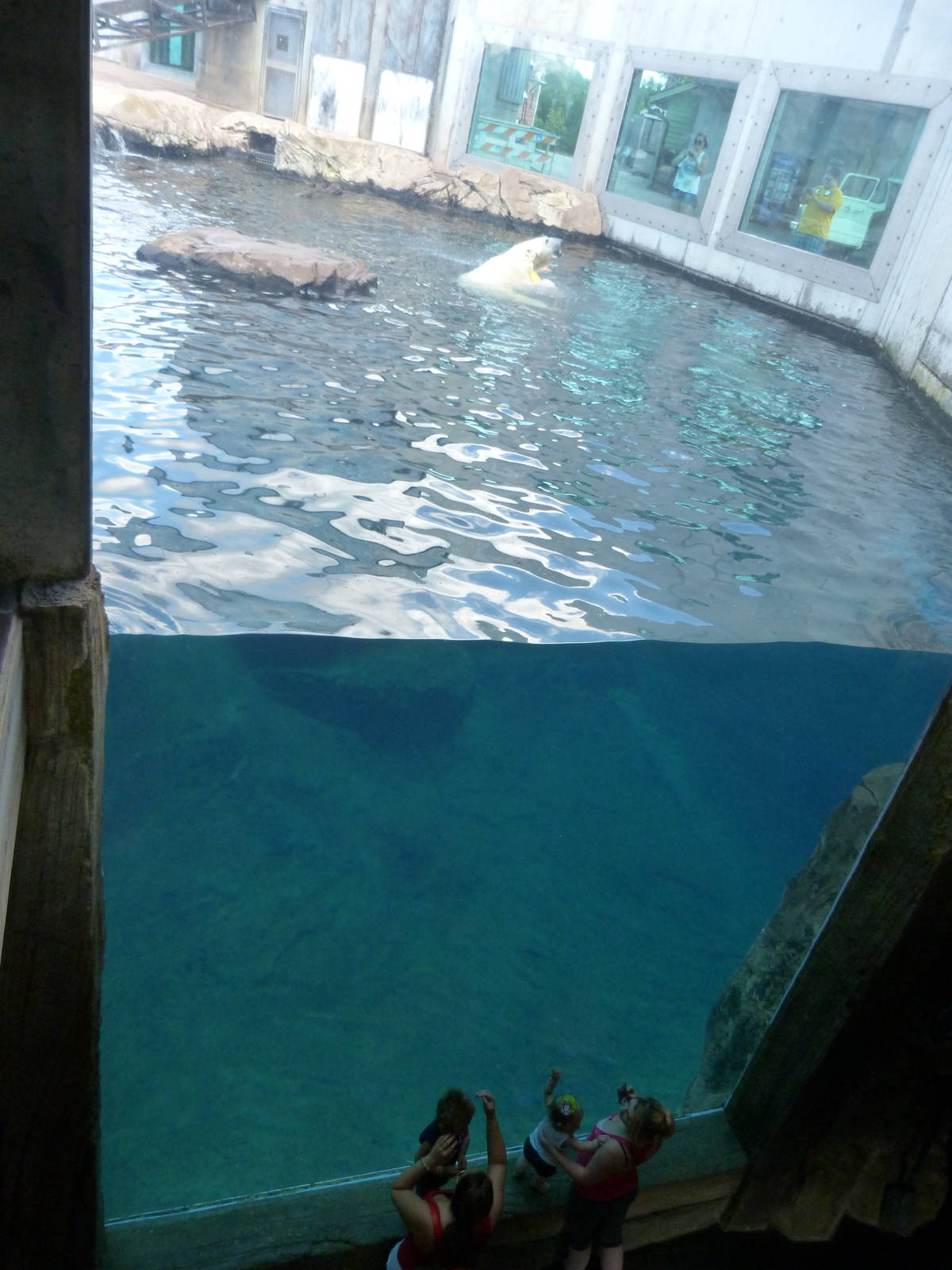 Deep Bear Pool - Glacier Run
