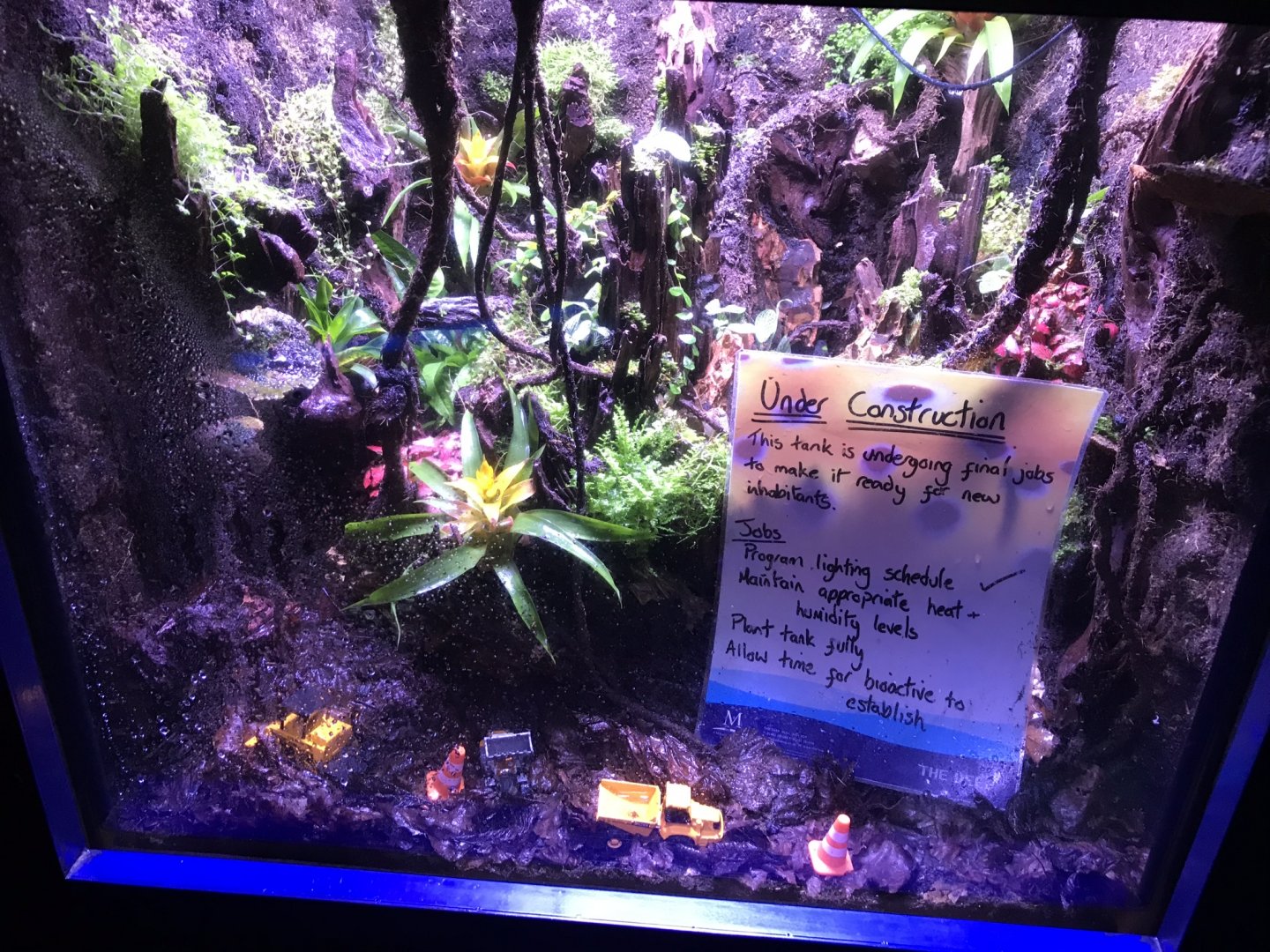 Deep Blue One - exhibit under construction 260519