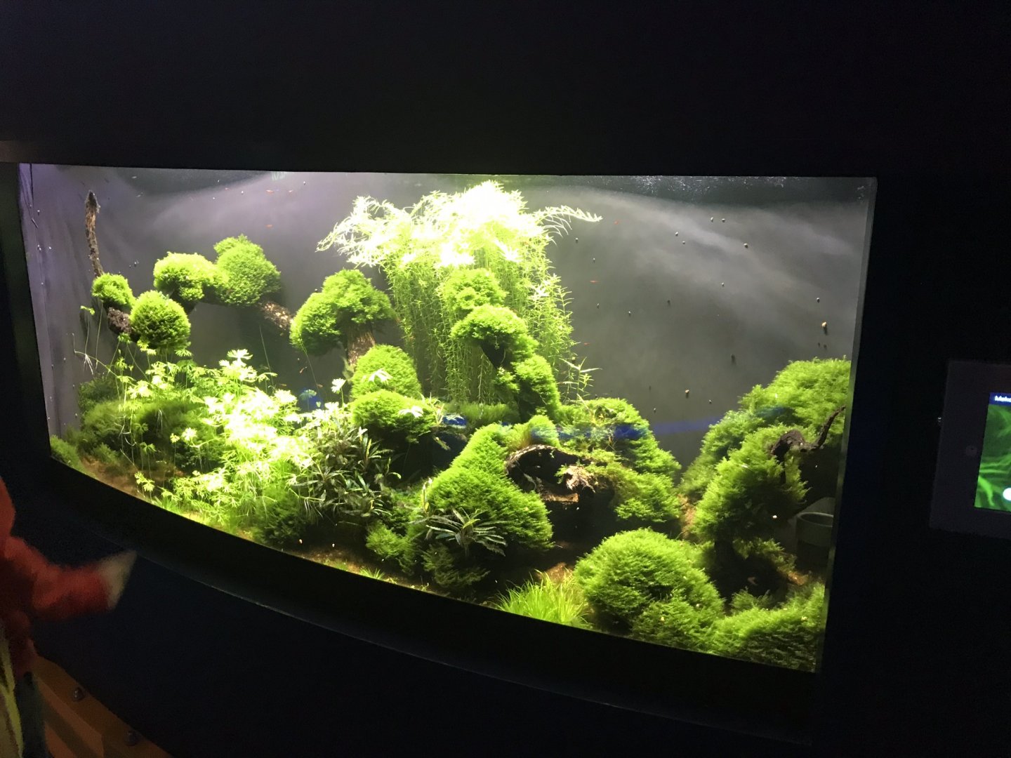 Deep Blue One - Mekong River exhibit 260519