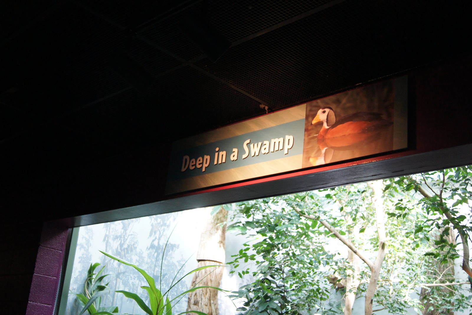 Deep in a Swamp Sign