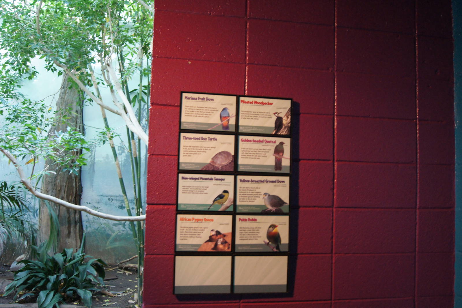 Deep in a Swamp species Signs