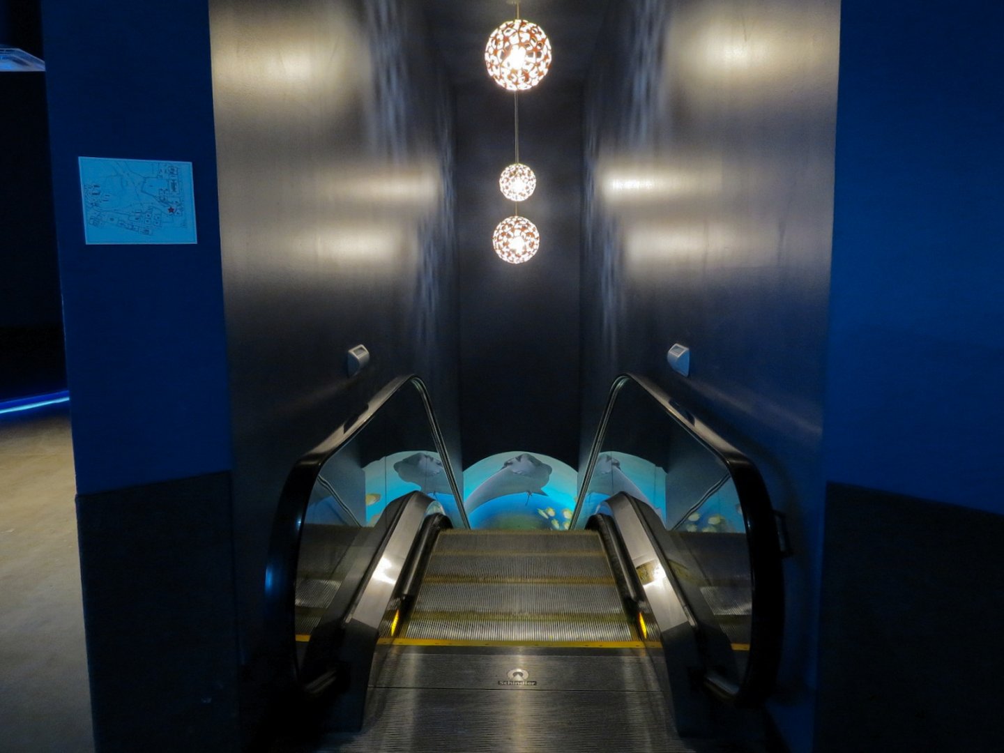 Deep Ocean - Deep Ocean Escalator