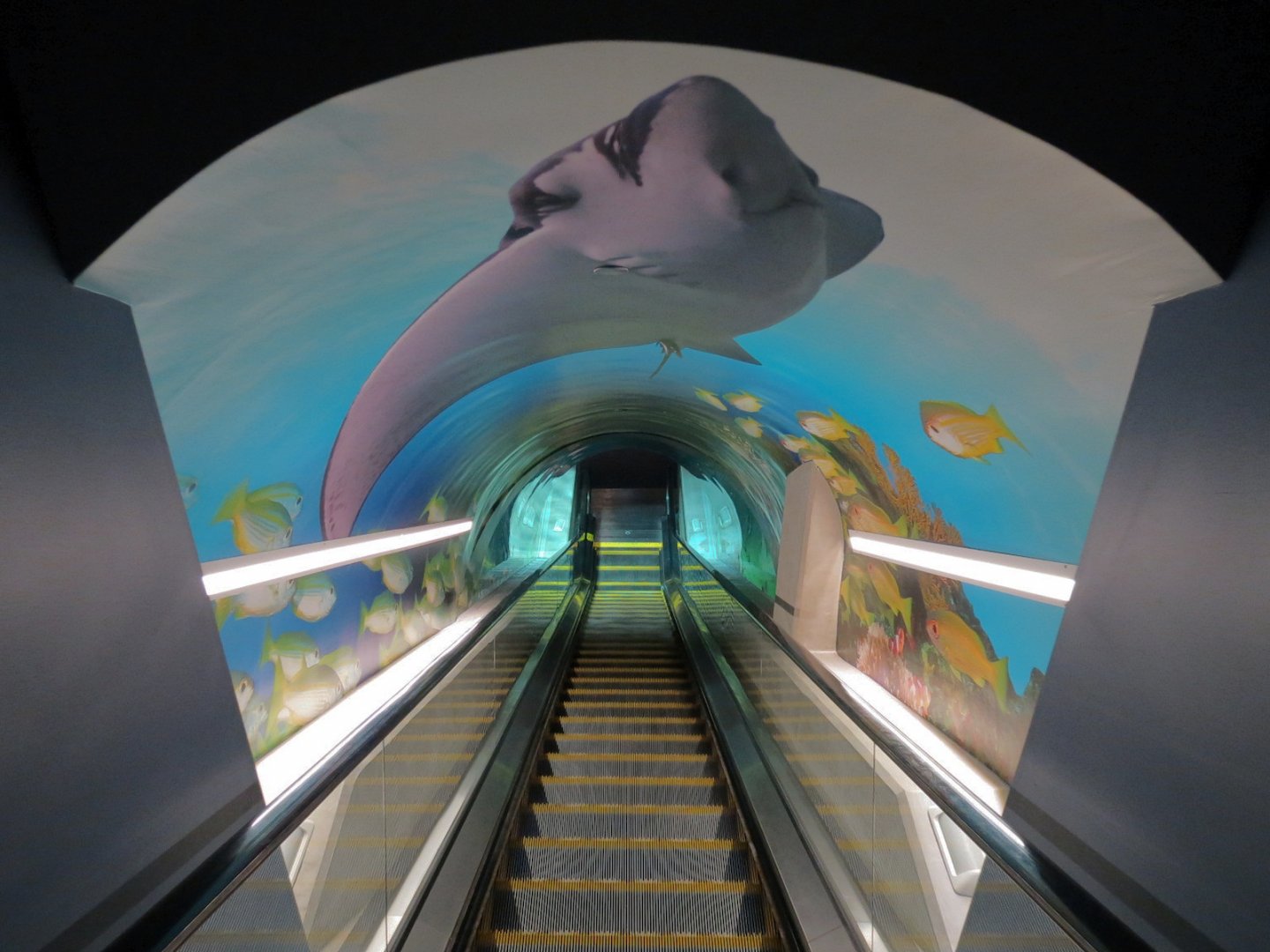 Deep Ocean - Deep Ocean Escalator
