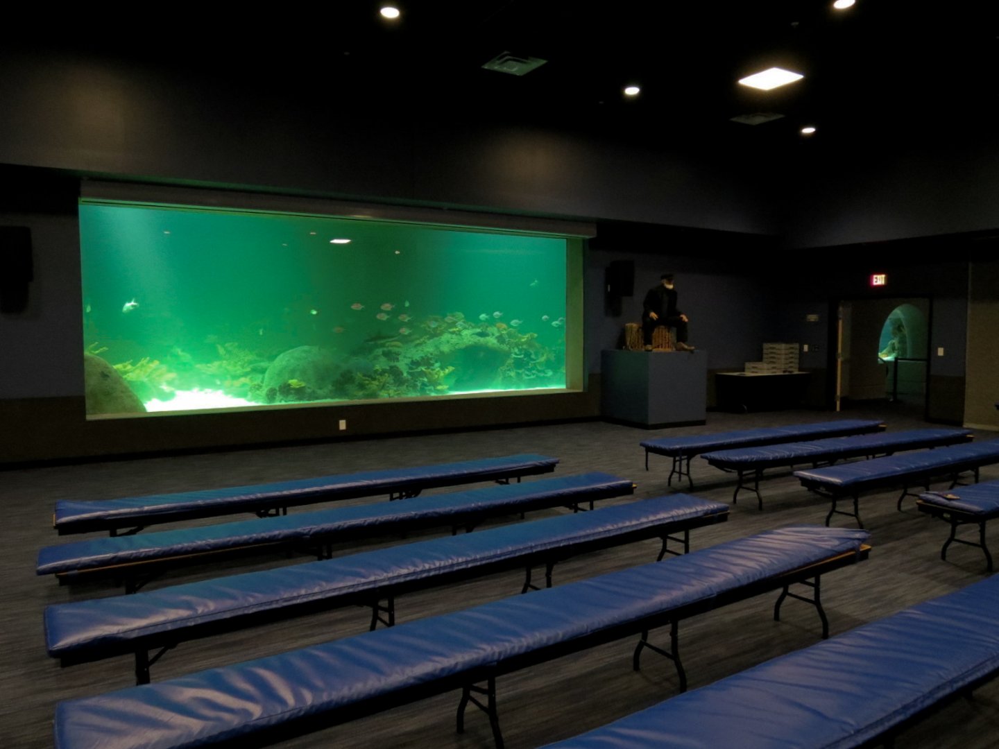 Deep Ocean - Sharks Of The Deep Exhibit Viewed From 3D Theater