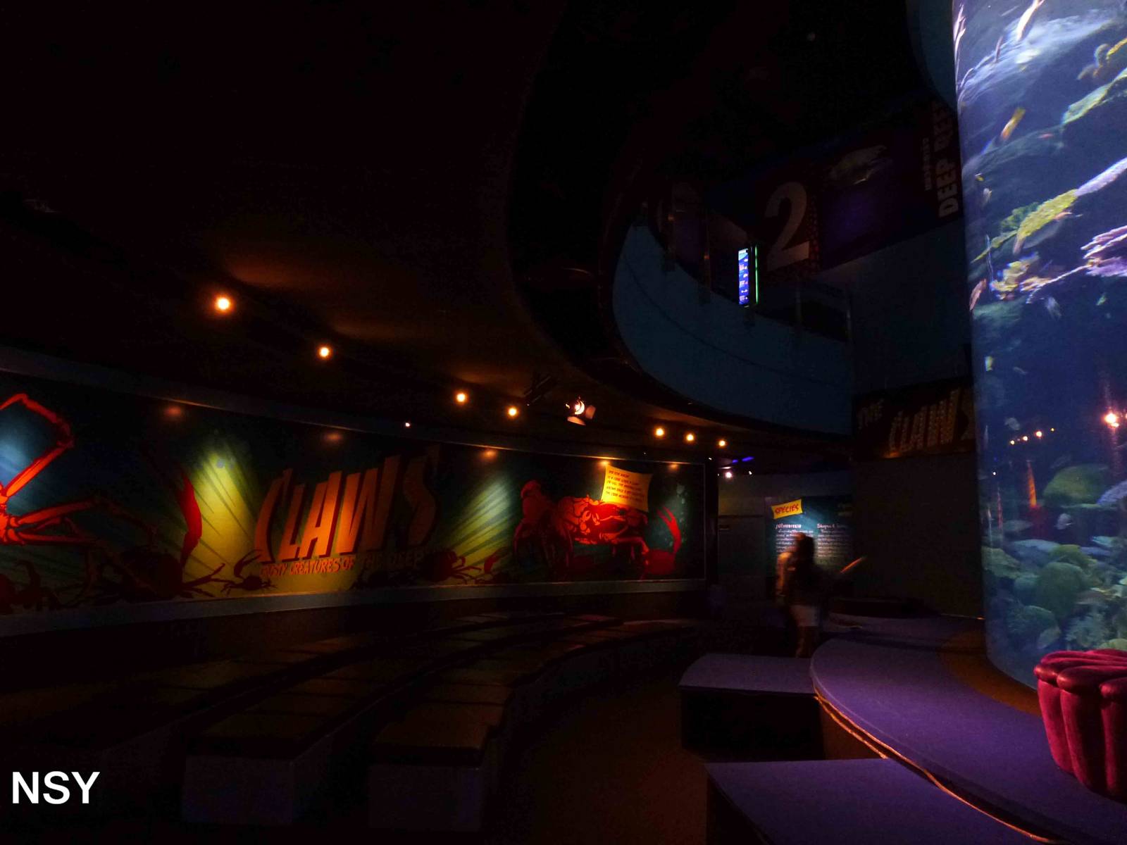 Deep reef tank and viewing area, June 2013.