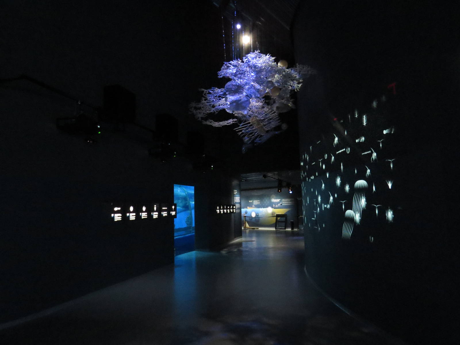 Deep sea display, June 2015.