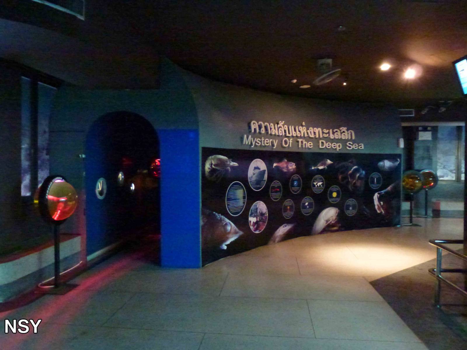 Deep sea exhibit, June 2013.