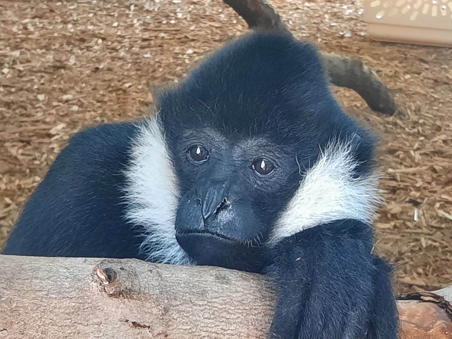 Deep Thoughts, Milo?