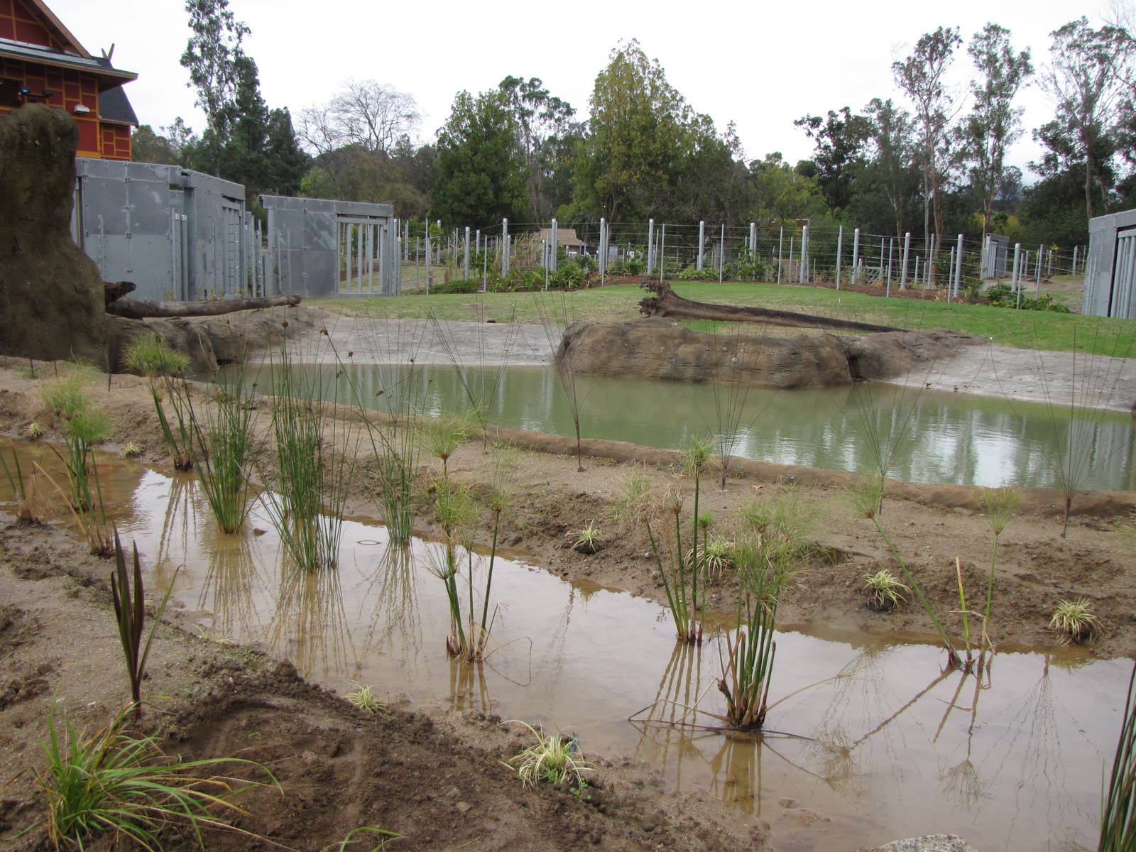 Deep Water Pool - Elephants of Asia