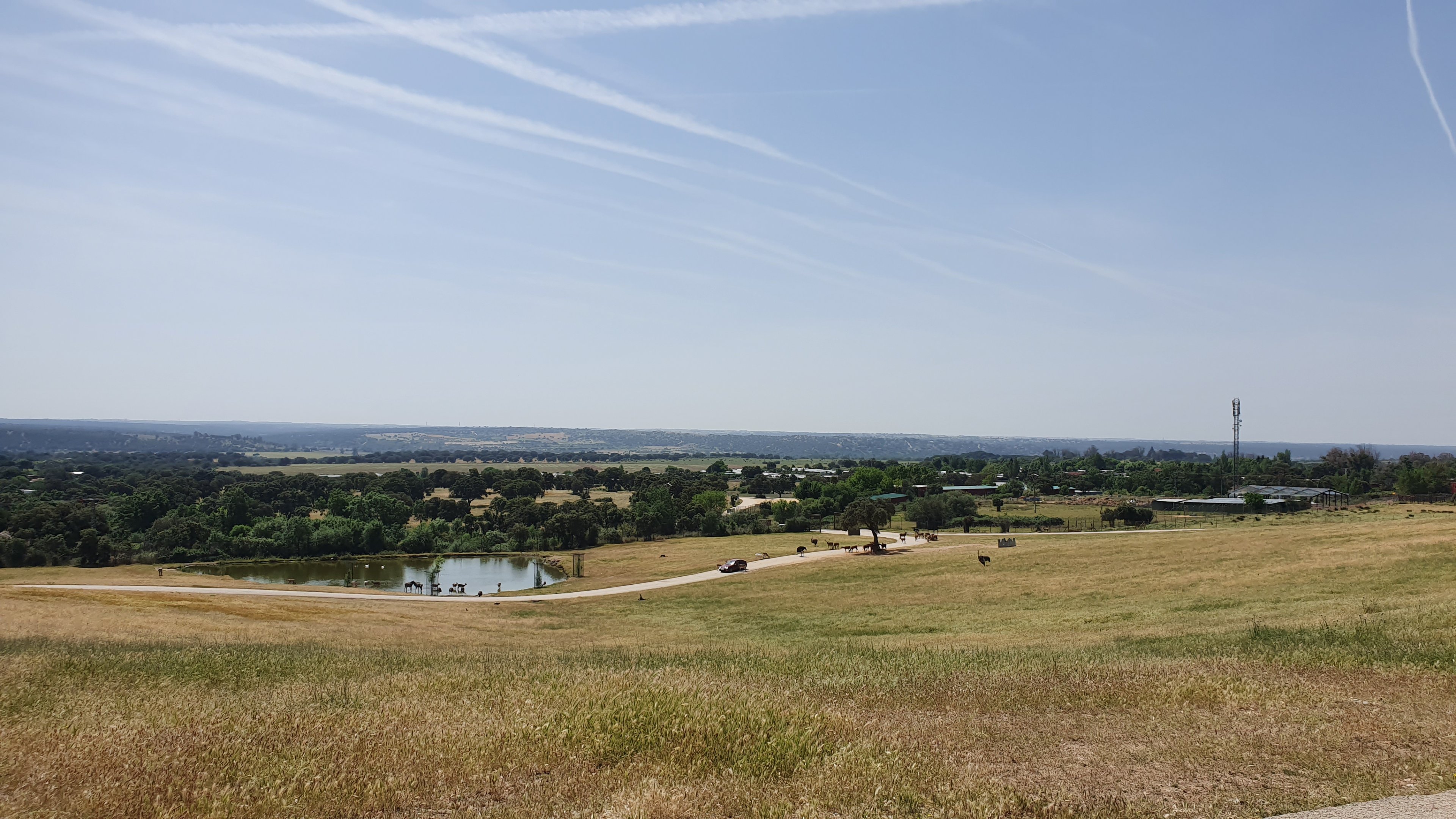 Deer, Emu, Ostrich, and Nilgai Reserve at Safari Madrid, 19th May 2022