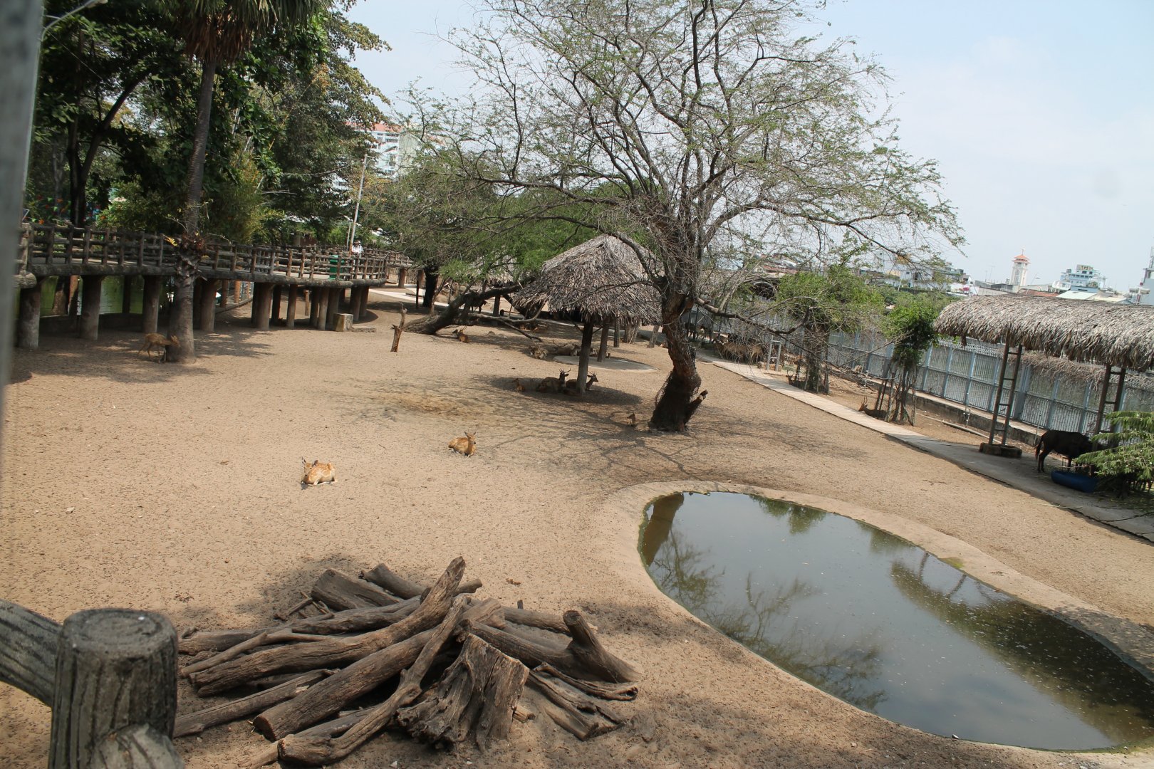 deer enclosure from the Ungulate Bridge