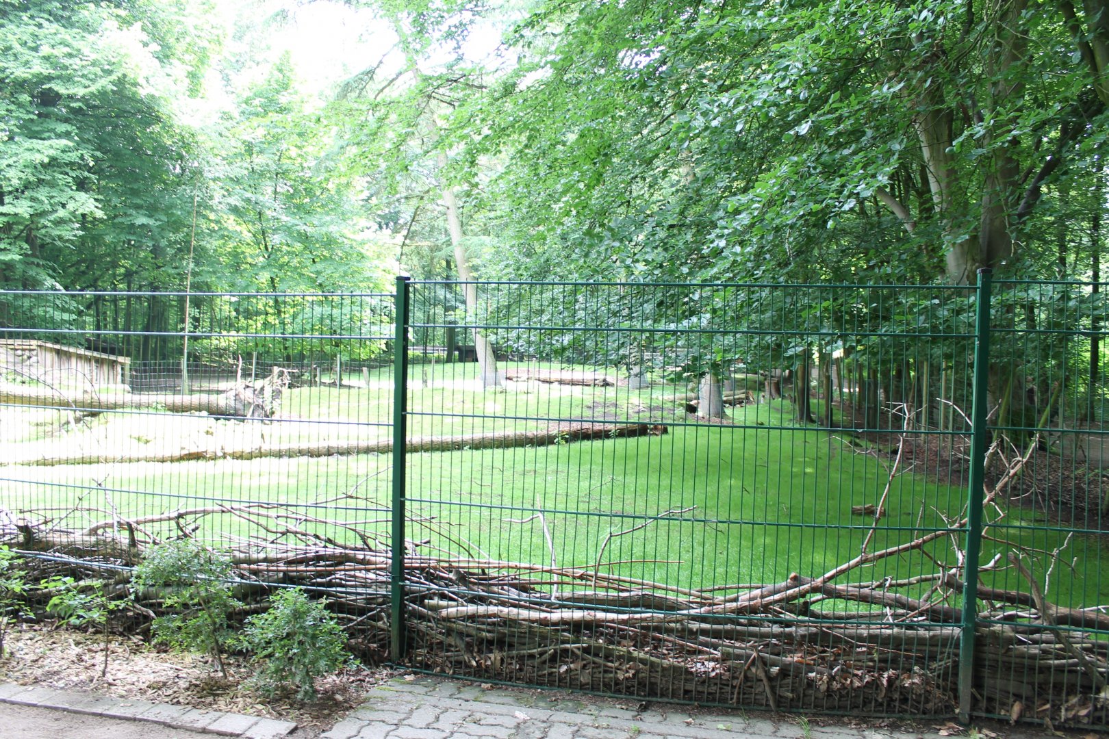 Deer-enclosure