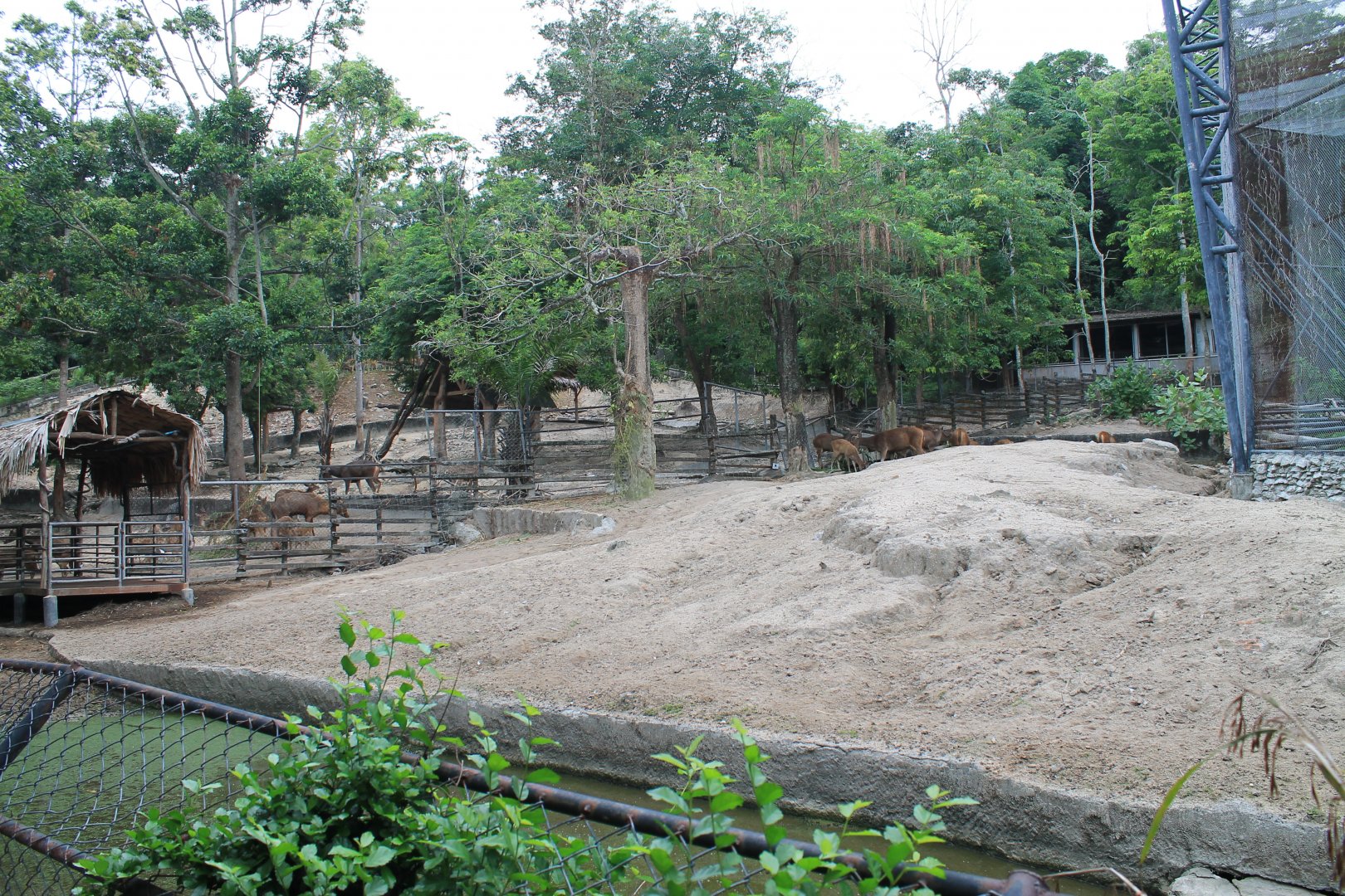 deer enclosures (for Thamin, Rusa, Sambar)